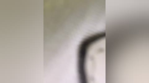 sallyeleins free recording from 2025-09-14 17:15:00