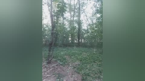 kartoshka2009 free recording from 2026-04-15 00:18:00