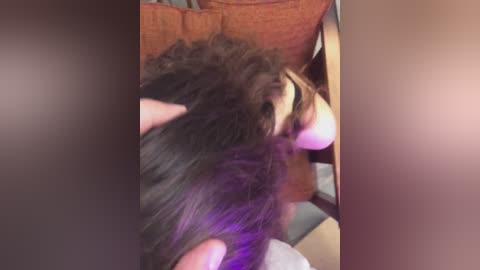 squirtpro free recording from 2025-09-15 11:28:00