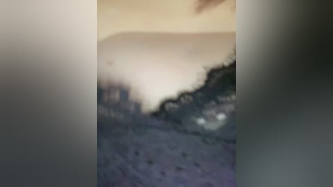 cutebunny691 free recording from 2025-09-16 15:32:00