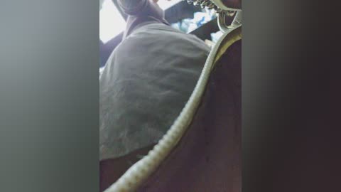 editamilf free recording from 2025-09-16 12:15:00