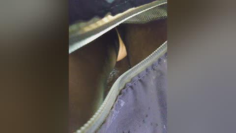 editamilf free recording from 2025-09-16 13:07:00