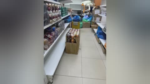 magic_alice free recording from 2025-09-16 08:19:00