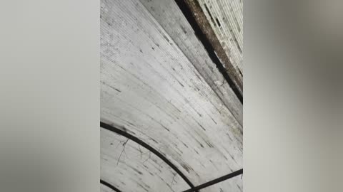 tr1xie free recording from 2025-09-16 13:39:00