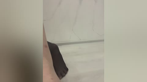 puppy19 free recording from 2025-09-17 22:53:00