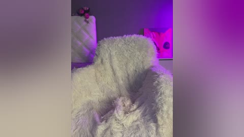 _sweet_alice_ free recording from 2025-09-18 22:51:00