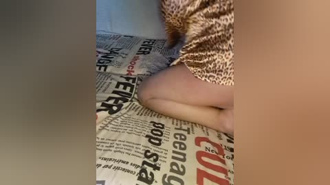 cat_bars69 free recording from 2025-09-19 13:11:00