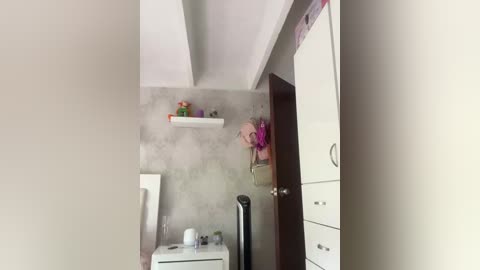 sallyeleins free recording from 2025-09-19 13:52:00