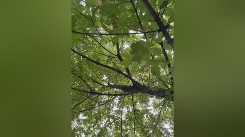 daddysgirl9 free recording from 2025-09-20 09:00:00