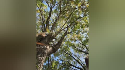 daddysgirl9 free recording from 