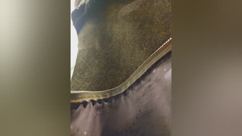 editamilf free recording from 2025-09-20 12:54:00