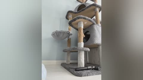 puppy19 free recording from 2025-09-20 04:36:00