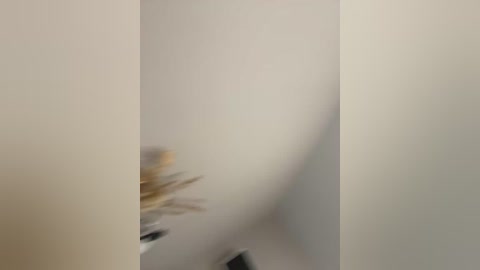 __sativa__ free recording from 2025-09-21 17:14:00