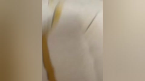 alinagilberd03 free recording from 2025-09-21 06:04:00