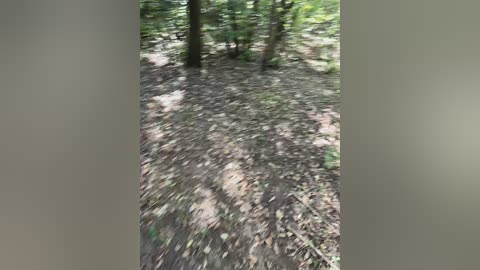 angelokfromukraine free recording from 