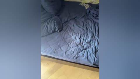 dii_6 free recording from 