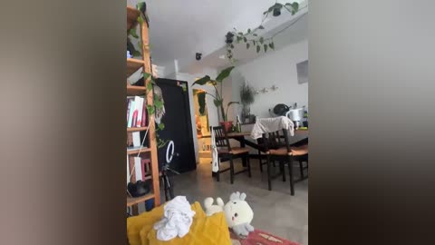 malunamoon free recording from 2026-04-05 00:10:00