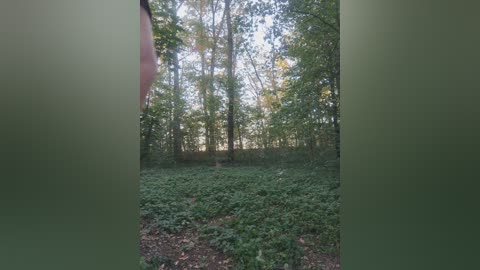 masya1996 free recording from 2025-09-21 15:12:00