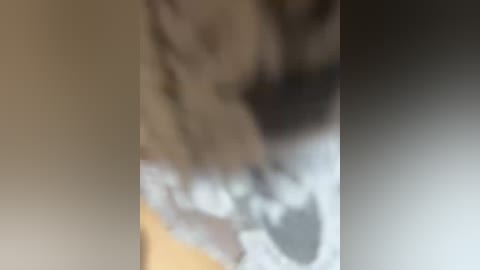 alexangela free recording from 2025-09-22 01:06:00