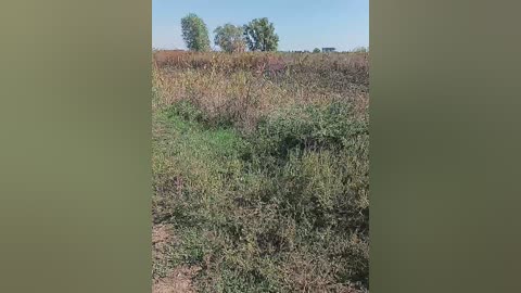 crazylady1 free recording from 