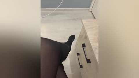 puppy19 free recording from 2025-09-25 14:18:00