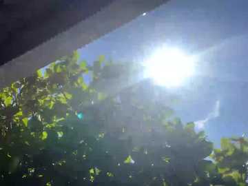 sallyeleins free recording from 2025-09-25 16:27:00