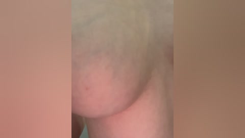 puppy19 free recording from 2025-09-26 13:51:00