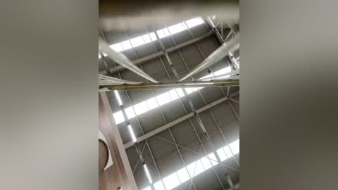 sallyeleins free recording from 2025-09-26 16:51:00