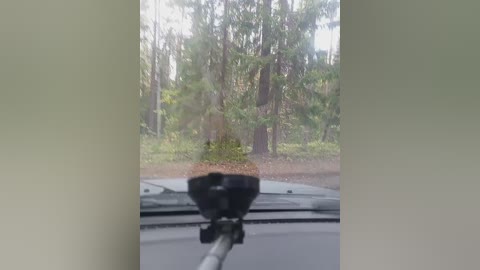 byrzik1213 free recording from 2025-09-27 14:02:00