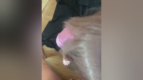 chanel77777 free recording from 2025-09-27 05:58:00