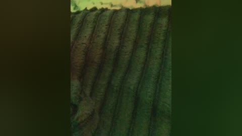 honeykj free recording from 2025-09-27 03:39:00