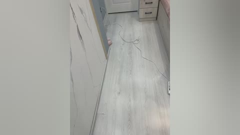 puppy19 free recording from 2025-09-27 13:18:00