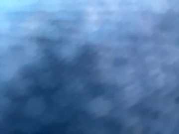 sallyeleins free recording from 2025-09-27 20:39:00