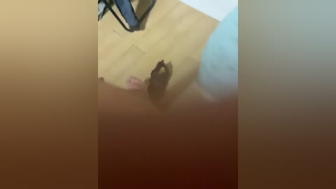 belenpetite free recording from 2026-04-14 02:03:00