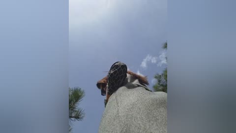 divora free recording from 2025-09-28 10:59:00