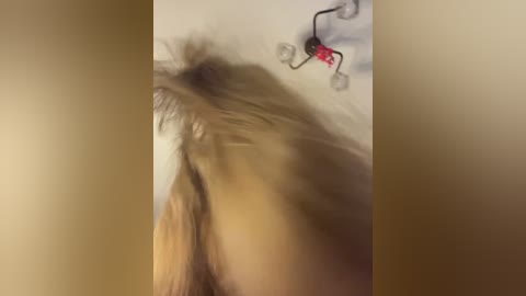 ladyemily free recording from 2025-09-29 14:12:00