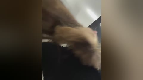 adelaida1001 free recording from 2025-09-30 04:12:00