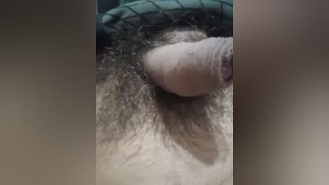 andre4516 free recording from 2026-04-05 01:47:00