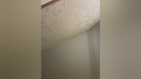 _maybebaby_ free recording from 2025-10-01 12:05:00