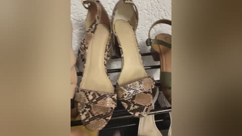 3hotandyoung3 free recording from 2025-10-02 11:10:00