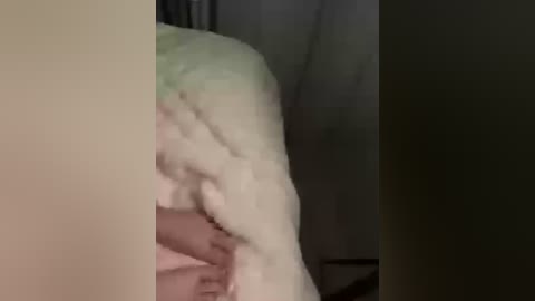 ameli1 free recording from 2025-10-03 22:39:00