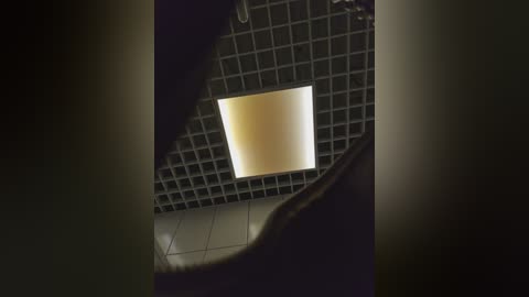 editamilf free recording from 2025-10-04 08:40:00