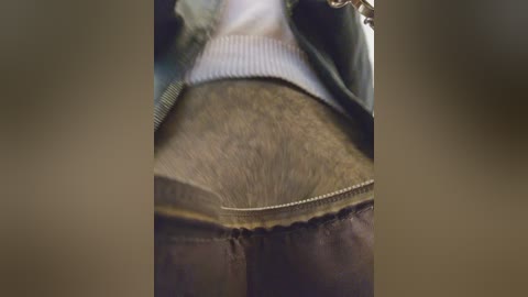 editamilf free recording from 2025-10-04 08:42:00