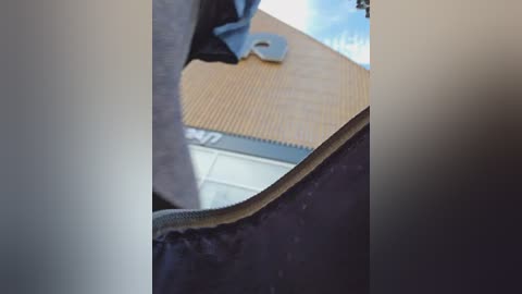 editamilf free recording from 