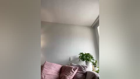 sallyeleins free recording from 2025-10-05 18:51:00