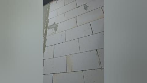 editamilf free recording from 2025-10-06 08:40:00