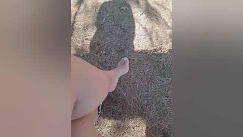 divora free recording from 2025-10-07 10:58:00