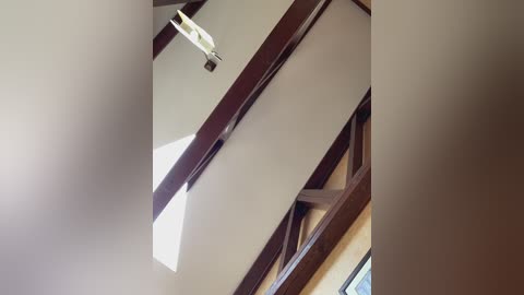 3hotandyoung3 free recording from 2025-10-08 09:51:00