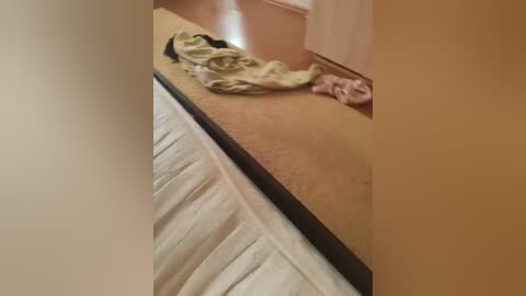 ilyshavika2231 free recording from 2026-04-15 00:11:00