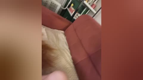 aariella free recording from 2025-10-10 10:34:00